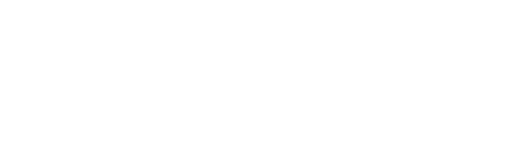 logo-zoom