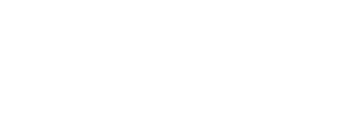 logo-zoom