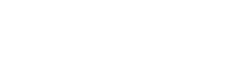 logo-zoom