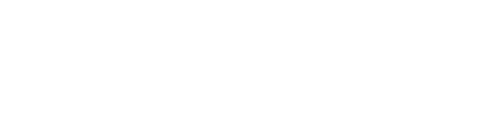 logo-zoom